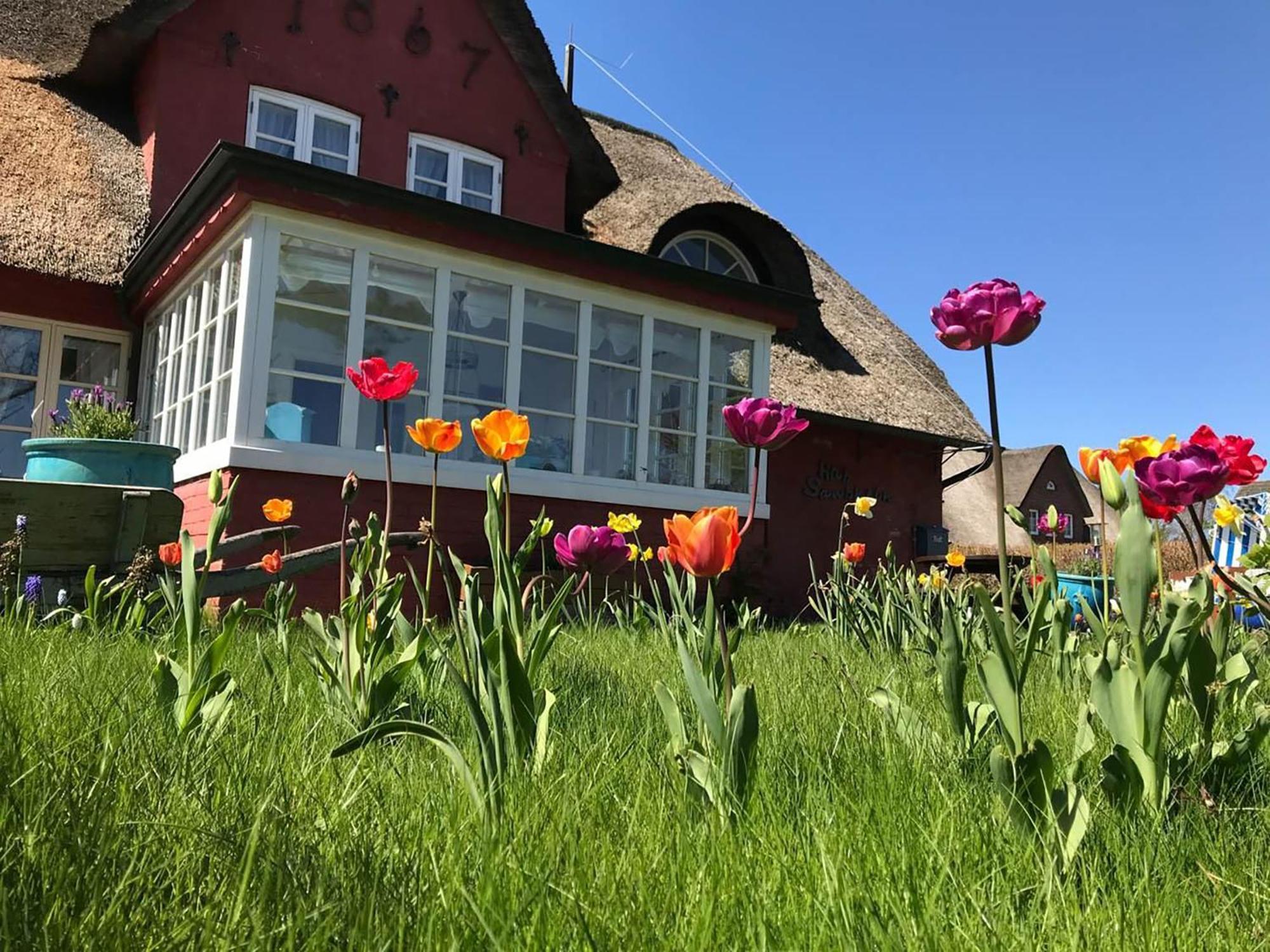 Hues Sanskiin Ferienwohnung *Goodshenk* Suddorf Exteriér fotografie